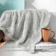 Plush Extra Large Fleece Throw Blanket for Couch,Bed and Sofa (50x70 inches, Light Grey) Soft, Warm, Lightweight